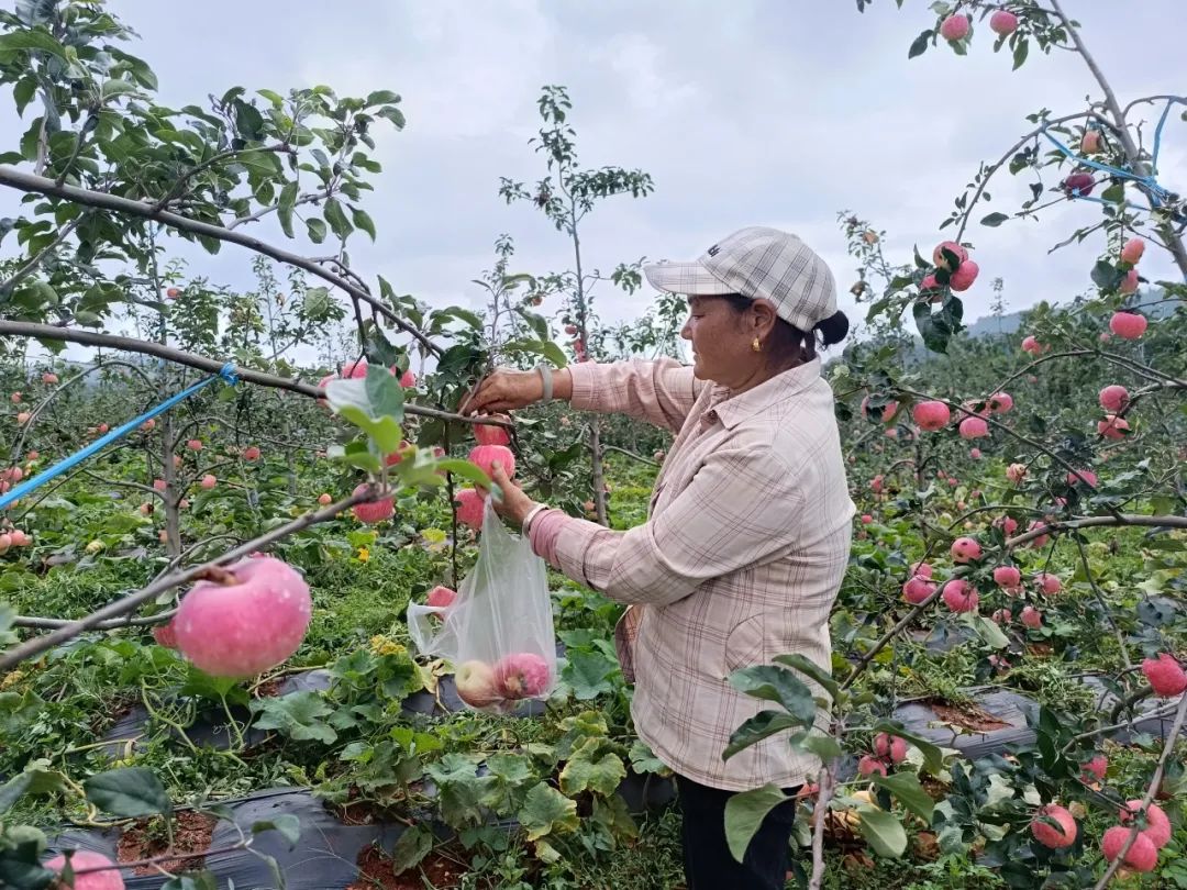 晋宁诗意的栖居地