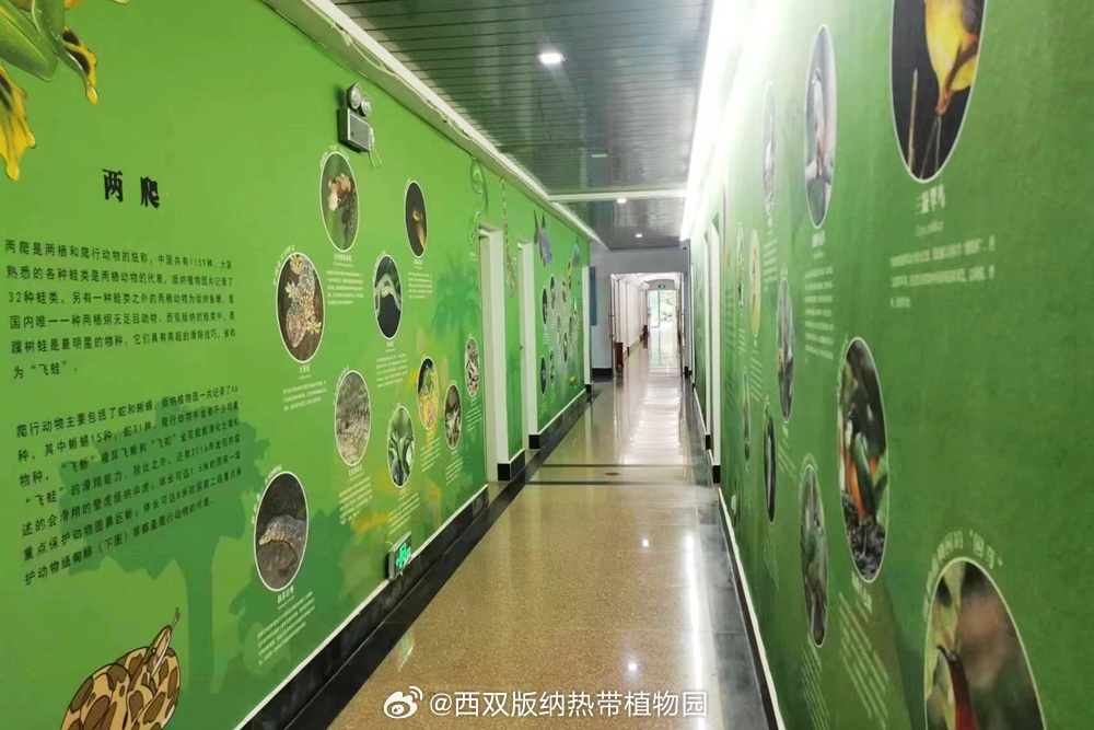 西双版纳热带植物园