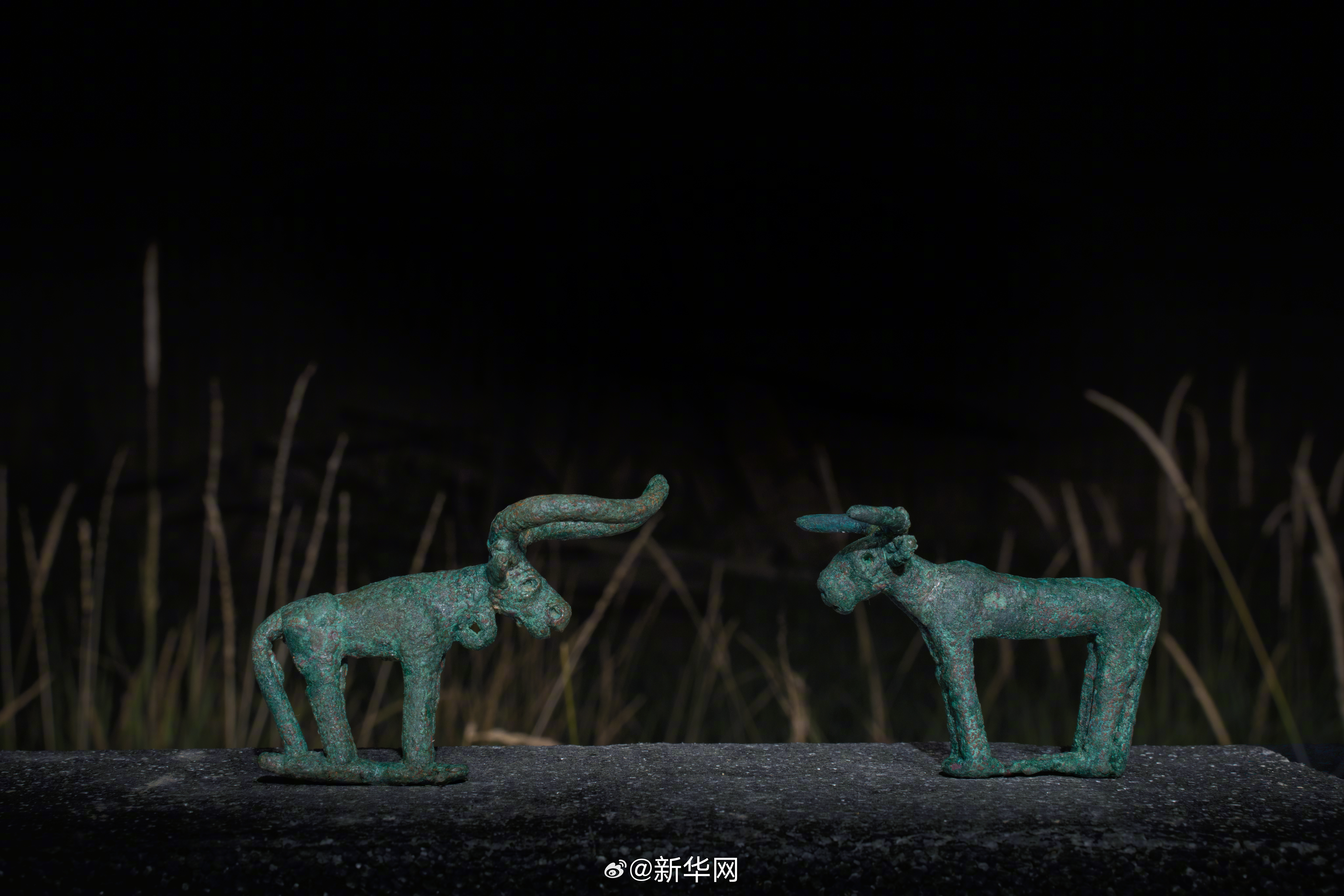 新华网