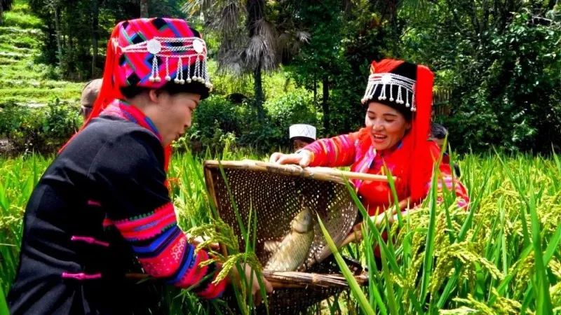 红河文旅
