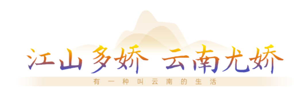 云南省文化和旅游厅