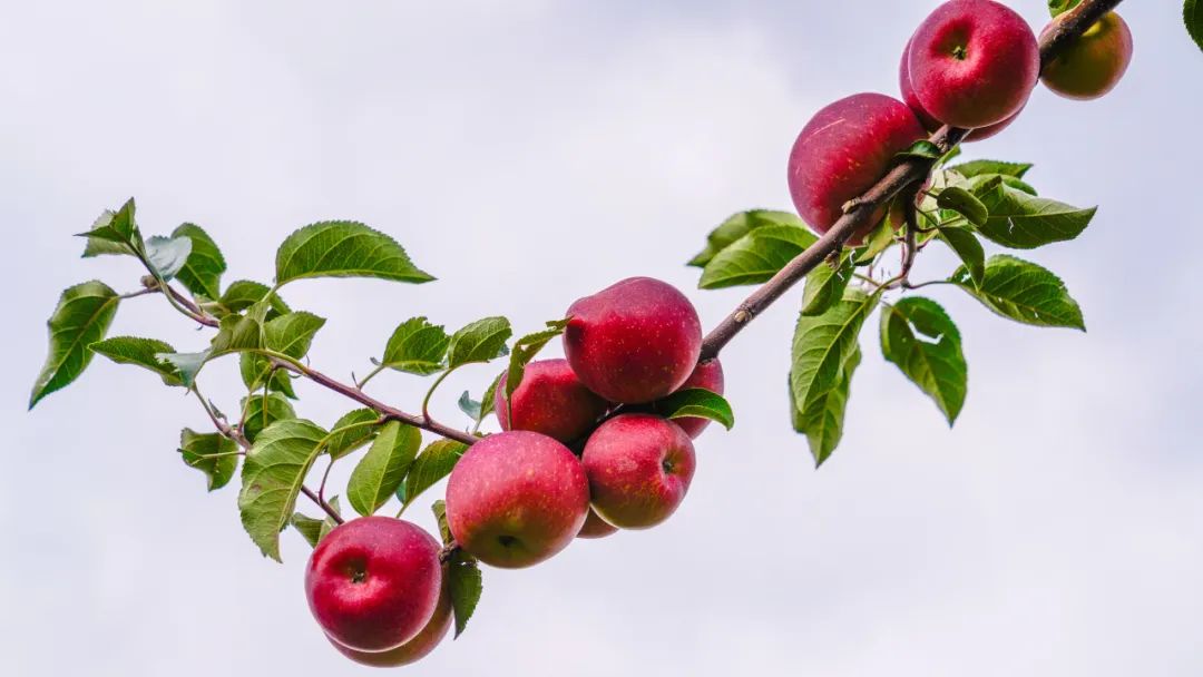 晋宁诗意的栖居地