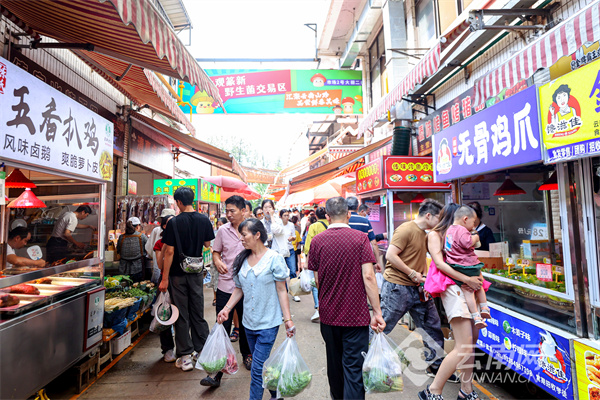 云南省文化和旅游厅