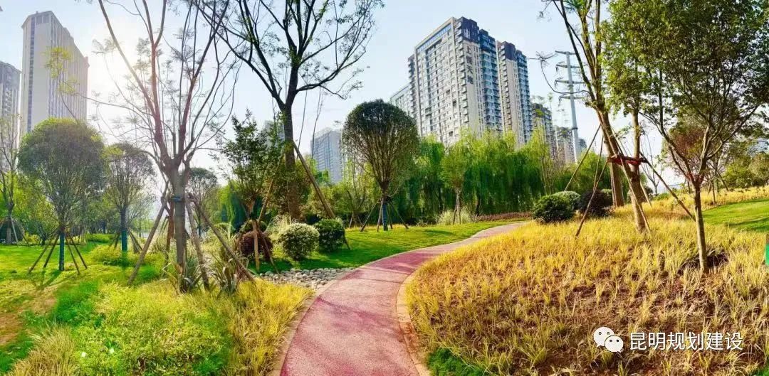 昆明信息港/cnkmxxg