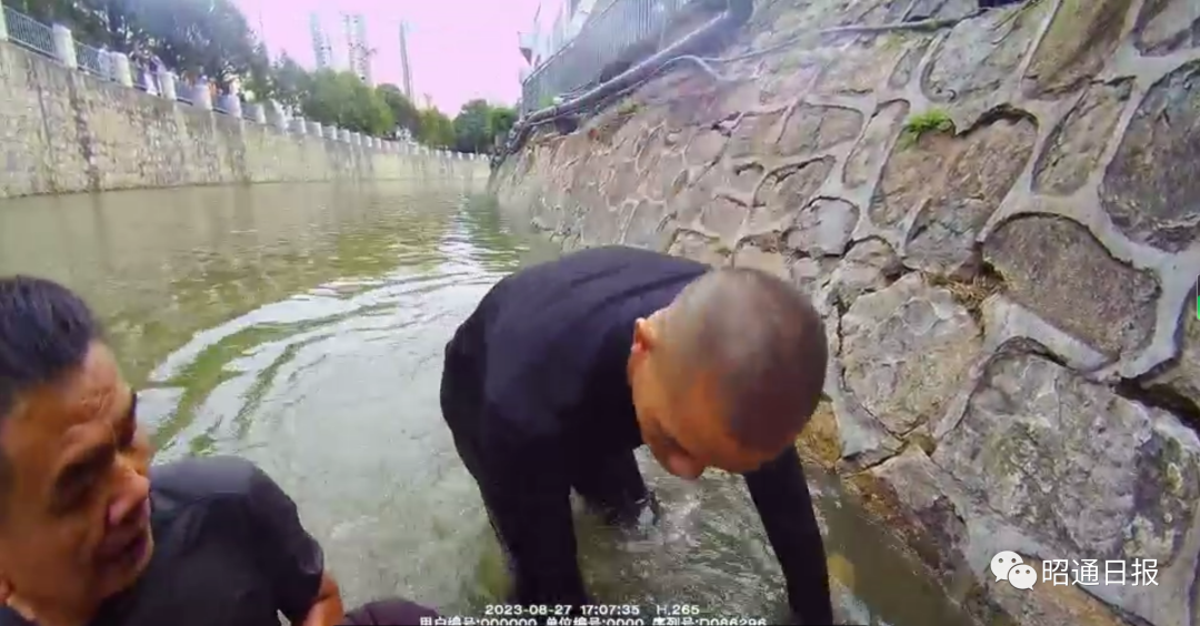 春城晚报