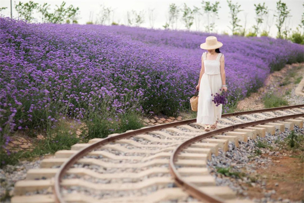 云南省文化和旅游厅