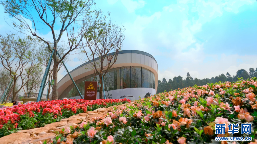 云南省文化和旅游厅