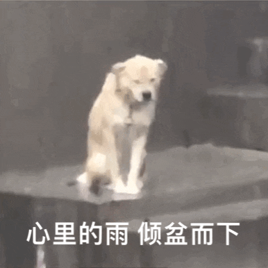 云南丽江警方