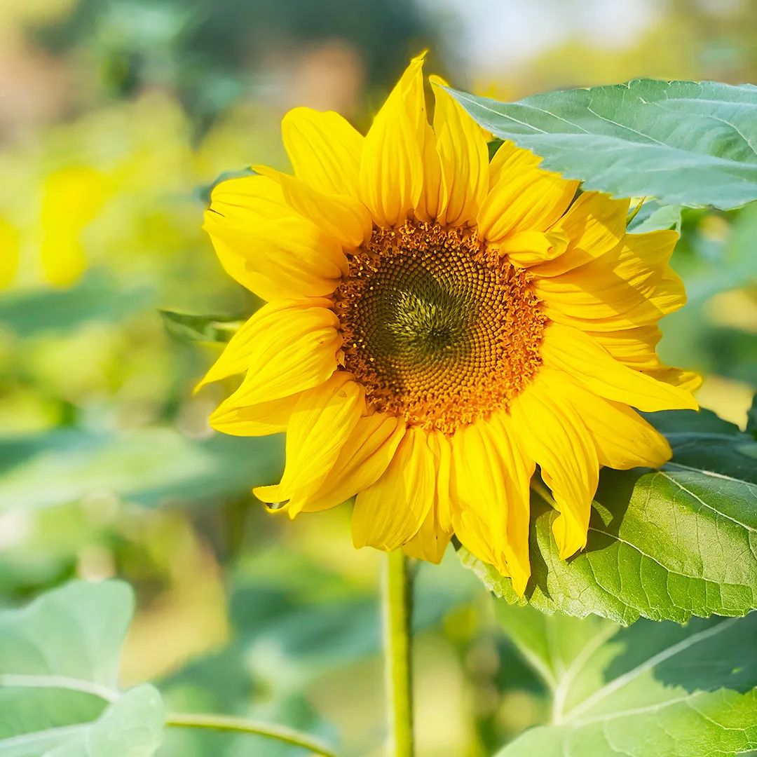 晋宁诗意的栖居地