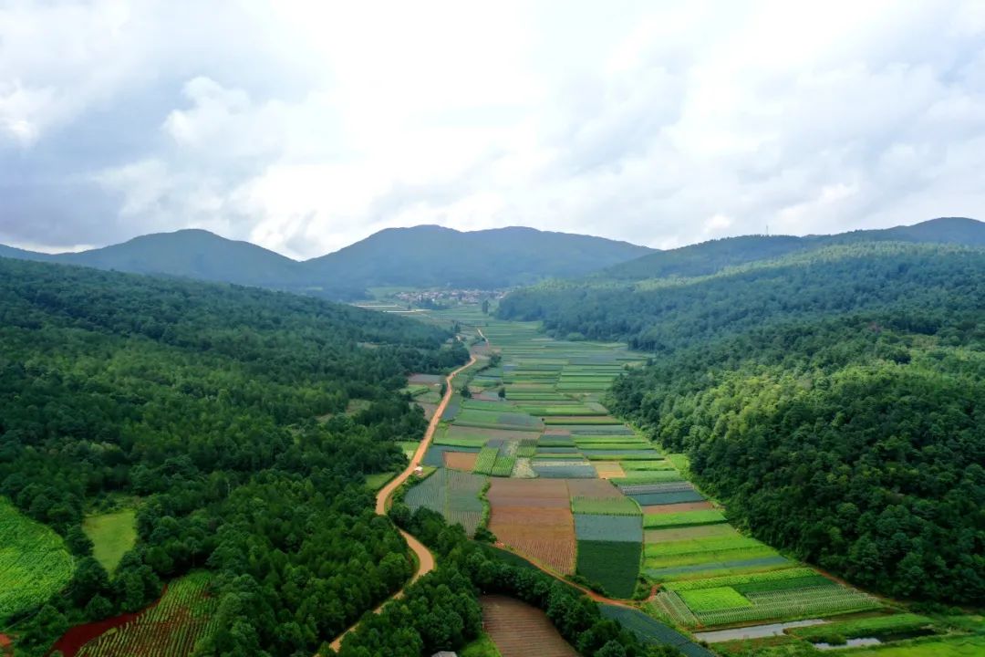 晋宁诗意的栖居地