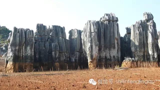 石林融媒