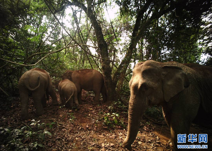 云南省文化和旅游厅