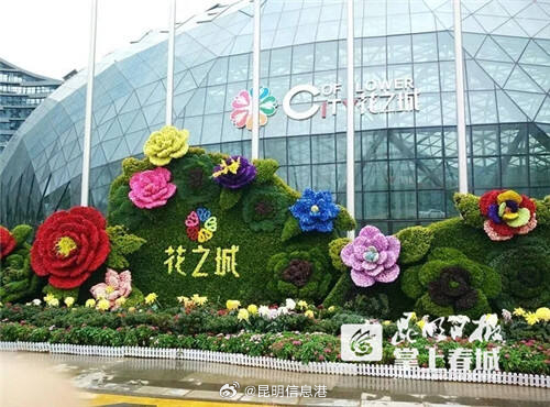 昆明信息港微博