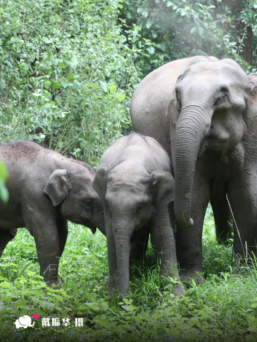 云南省文化和旅游厅