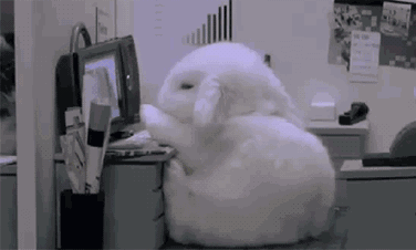 睡眠充足还犯困当心甲状腺疾病