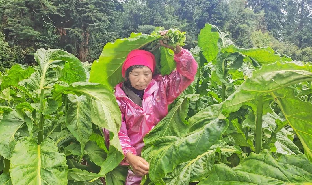 晋宁诗意的栖居地