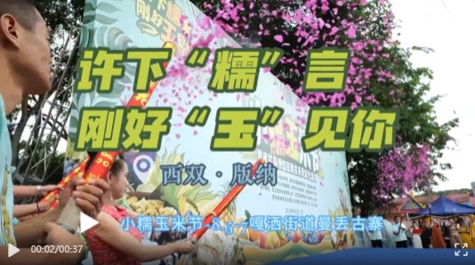 西双版纳小糯玉米节热闹来袭