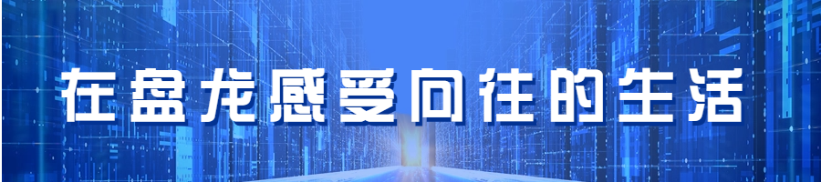 微观盘龙