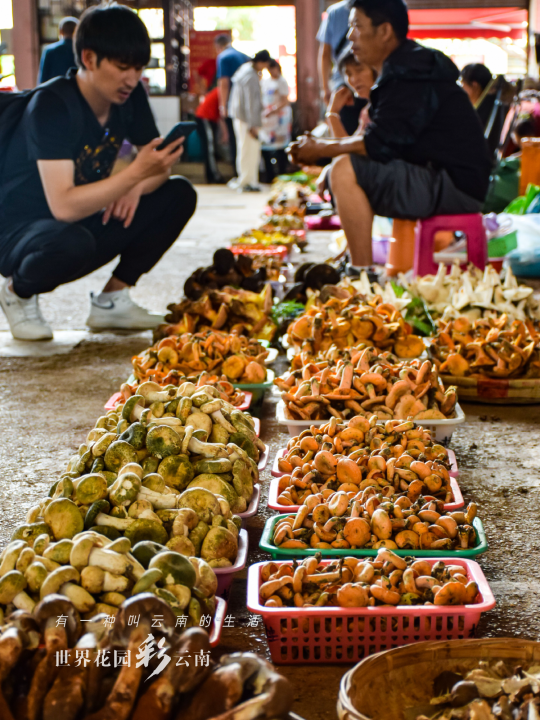 云南省文化和旅游厅