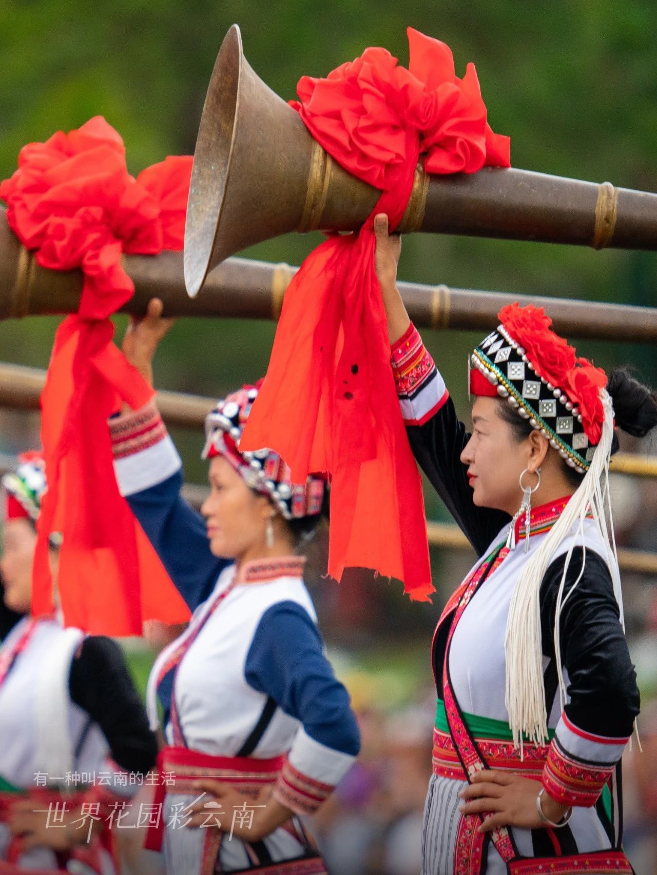 云南省文化和旅游厅