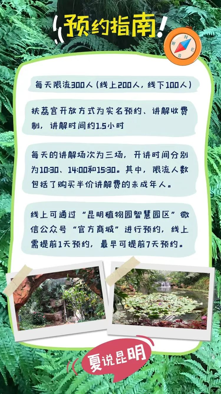 盘龙统战