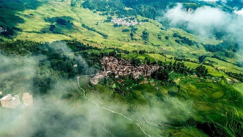 云南省文化和旅游厅