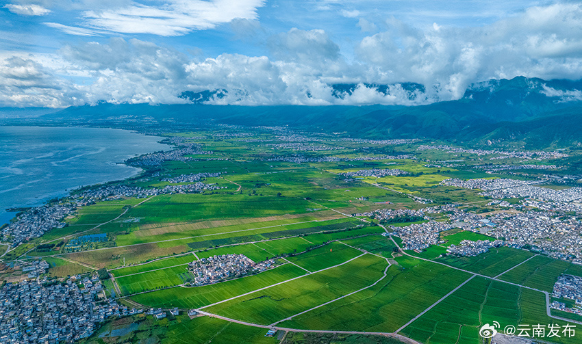 云南发布