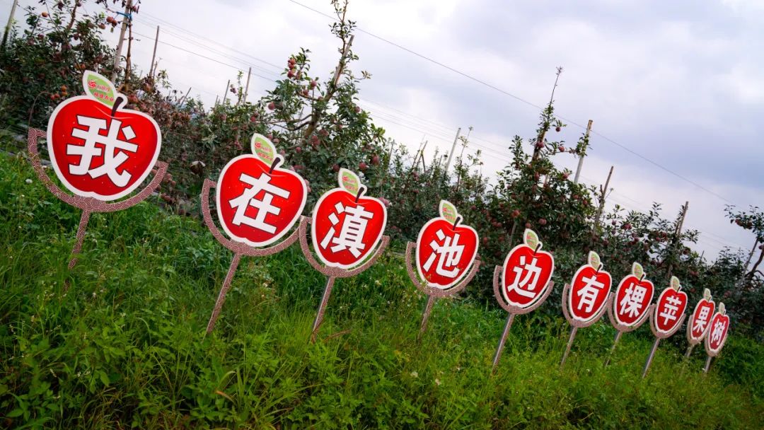 晋宁诗意的栖居地