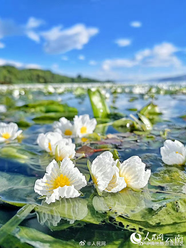 滇池旅游度假区