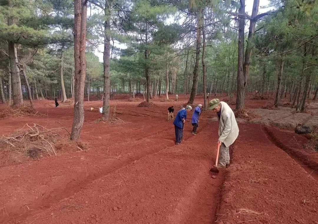 晋宁诗意的栖居地