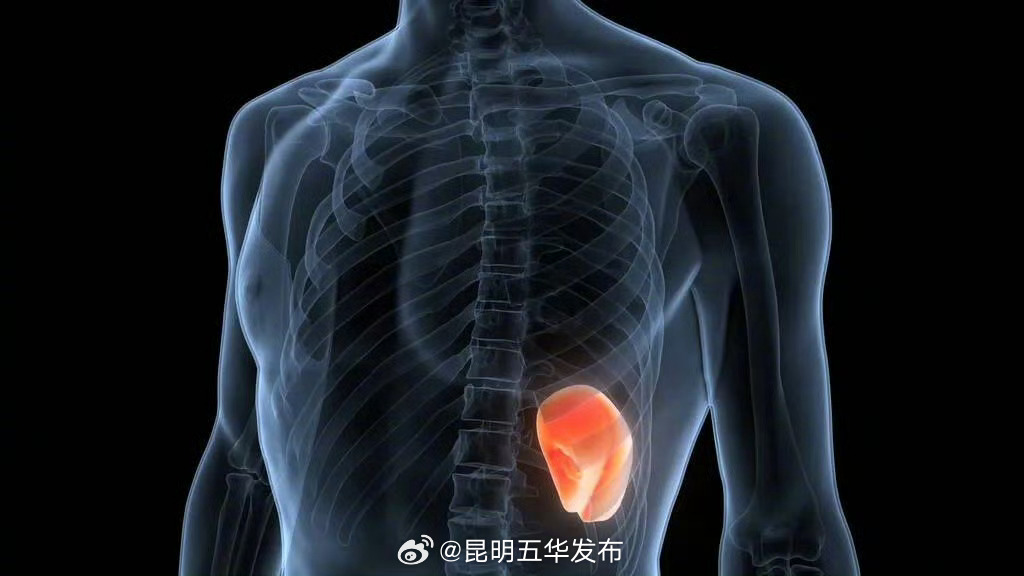 脾脏是一个很怕外力的器官