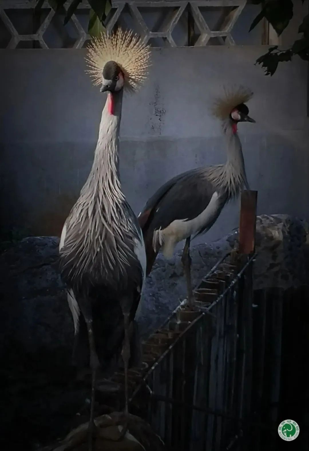 昆明动物园