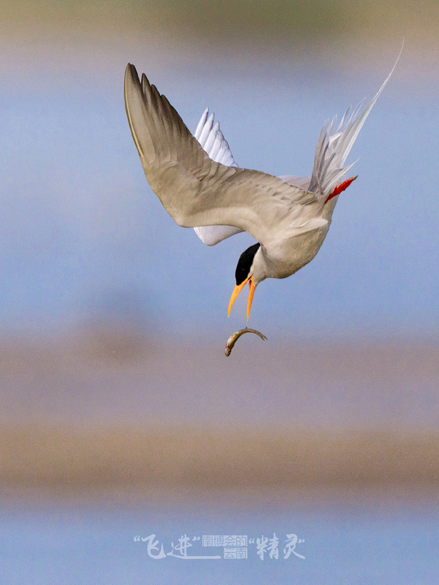 云南省文化和旅游厅