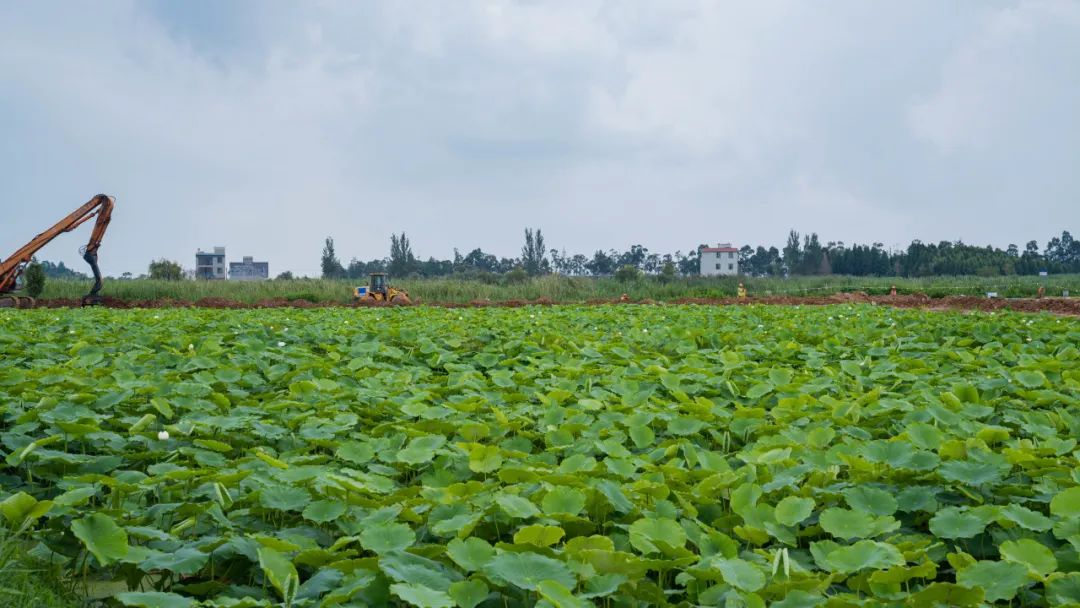 晋宁诗意的栖居地