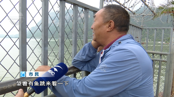 昆明信息港/cnkmxxg