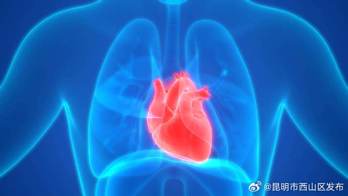 心肺好焦虑程度更低