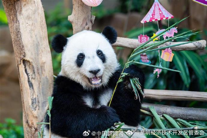 昆明经济技术开发区管委会