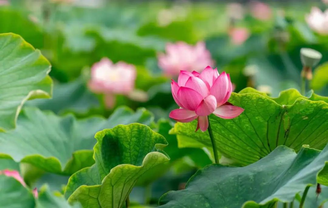 晋宁诗意的栖居地