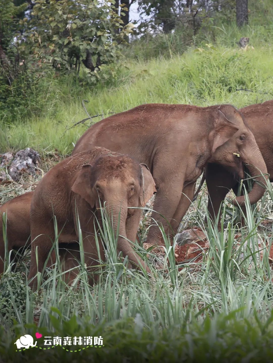 云南省文化和旅游厅