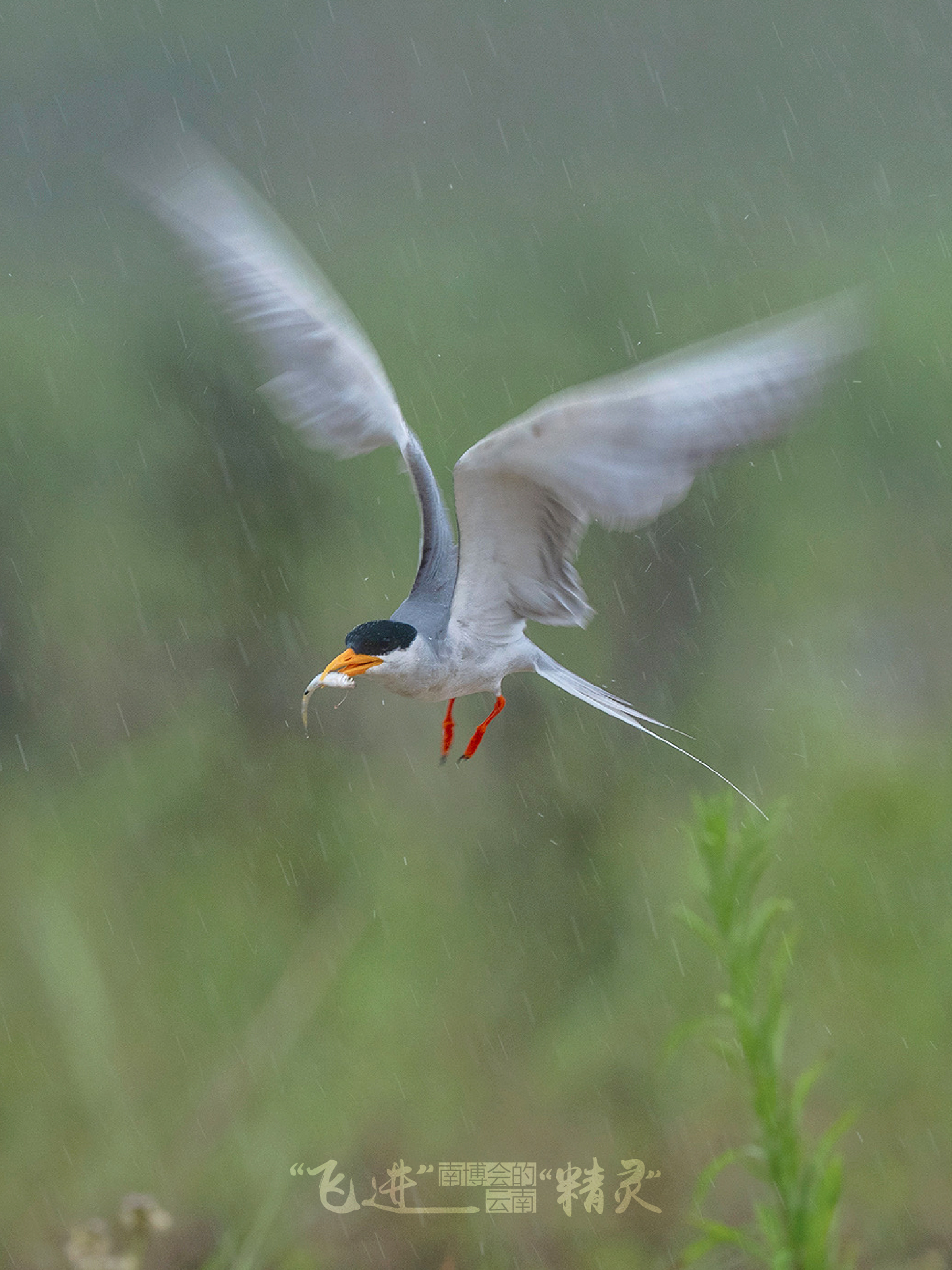云南省文化和旅游厅