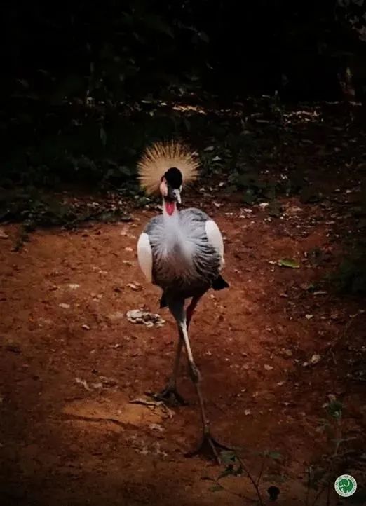 昆明动物园