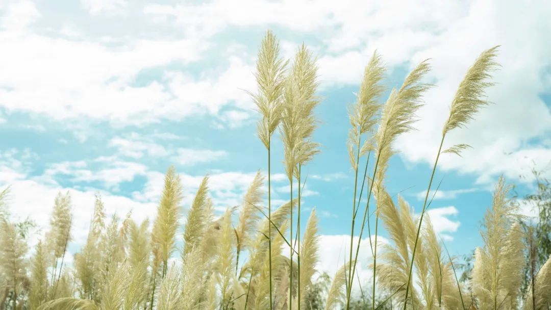 晋宁诗意的栖居地