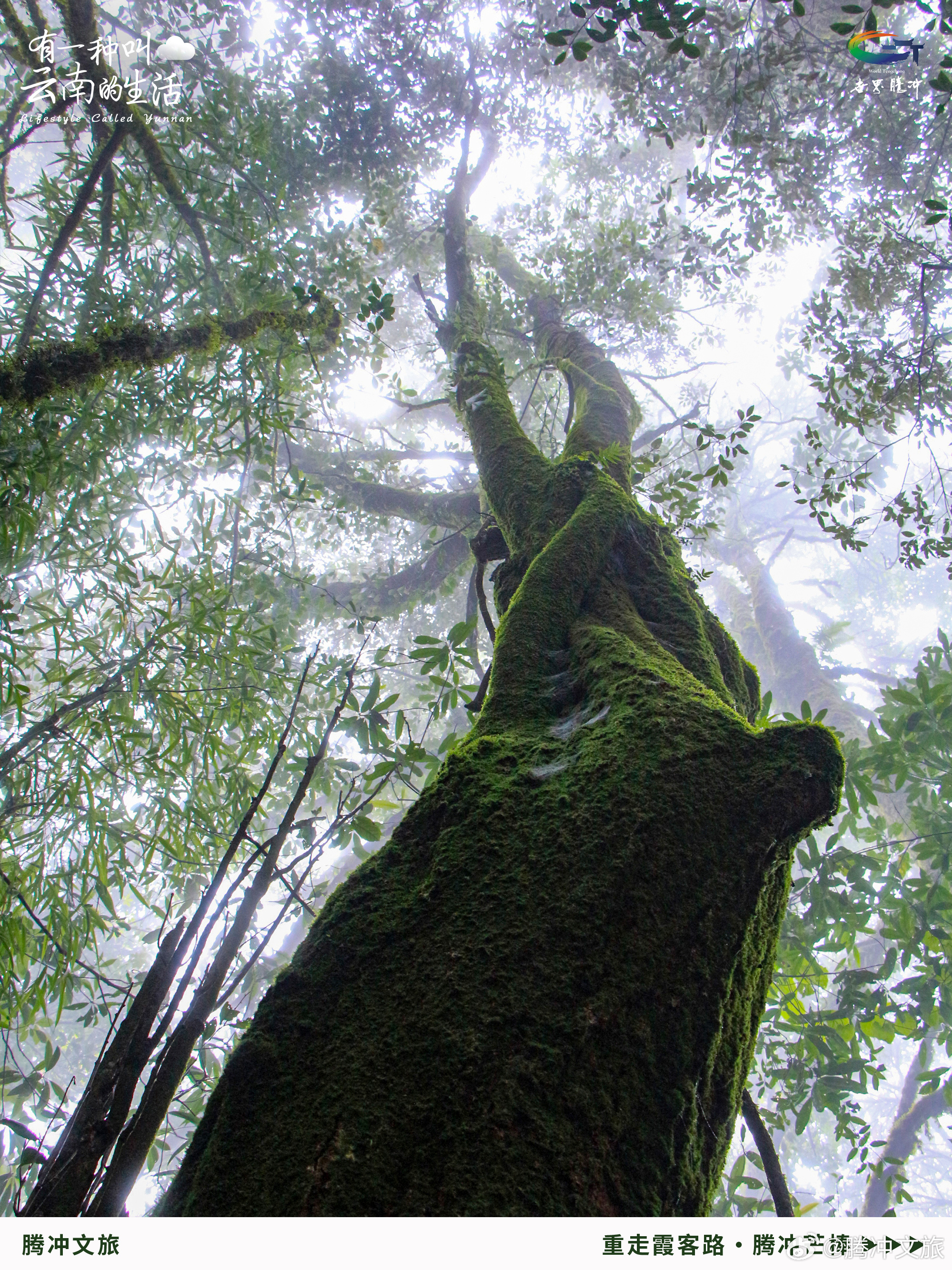 腾冲文旅