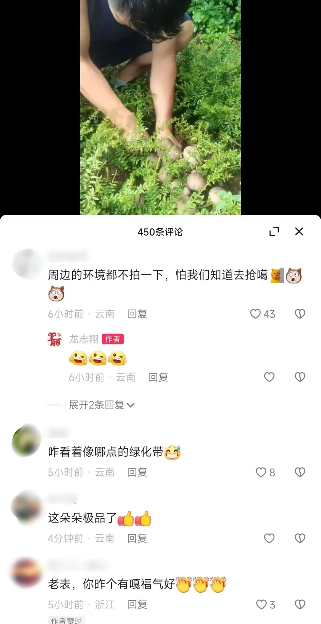 昆明信息港/cnkmxxg