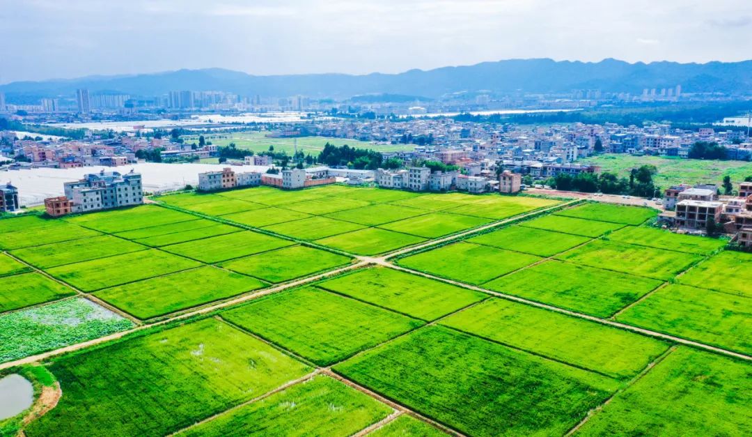 晋宁诗意的栖居地