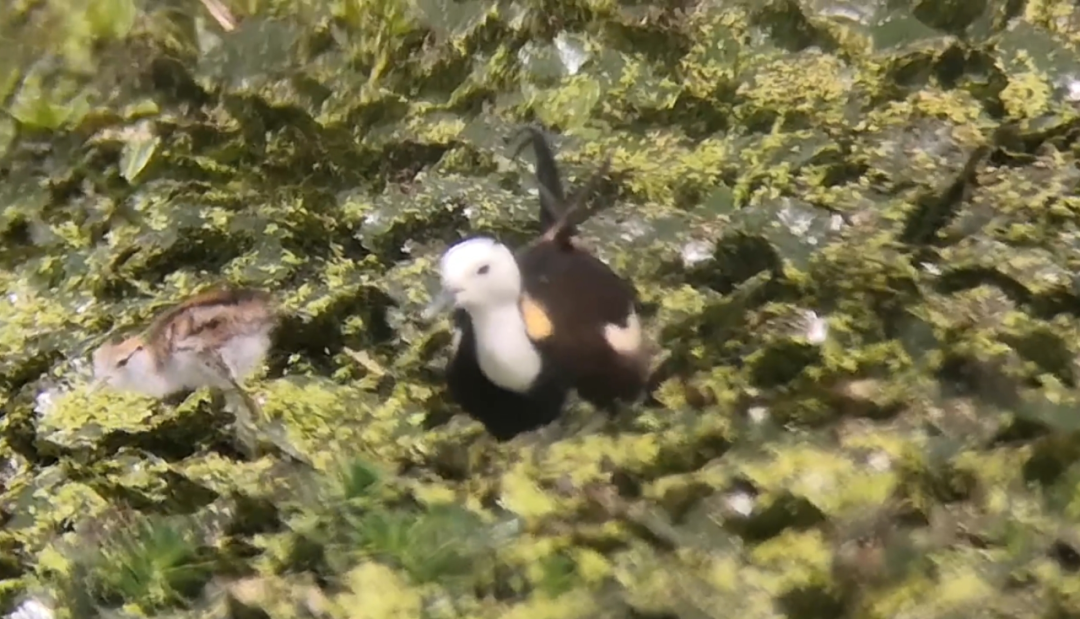 晋宁诗意的栖居地