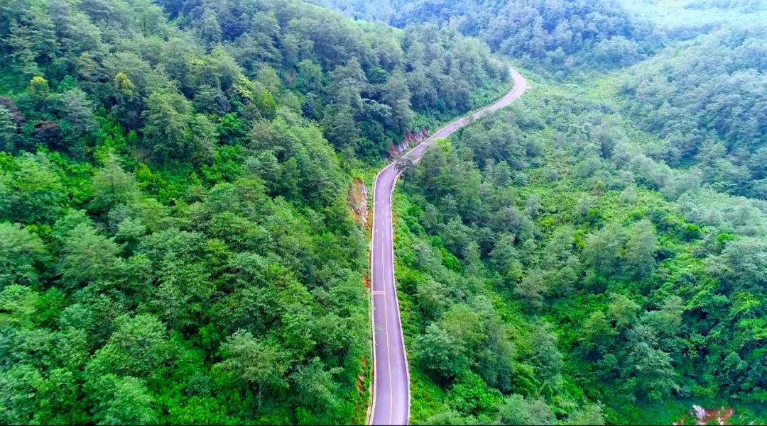 云南省人民政府网