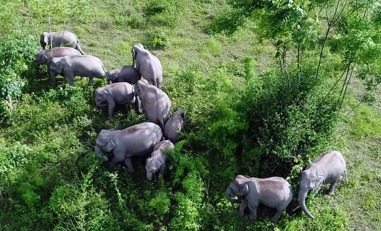 云南省文化和旅游厅