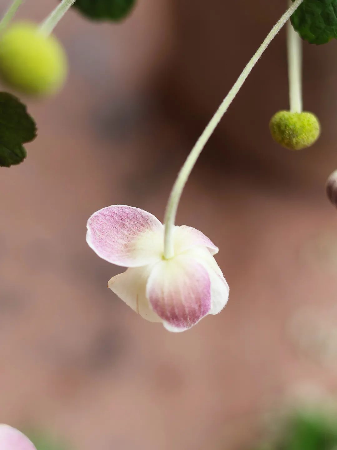 昆明市西山区图书馆