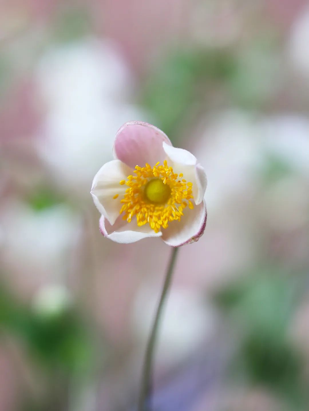 昆明市西山区图书馆